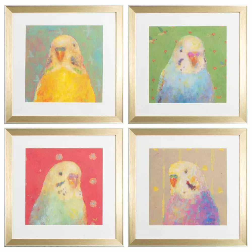 Colorful Birds Set of Four Framed Prints